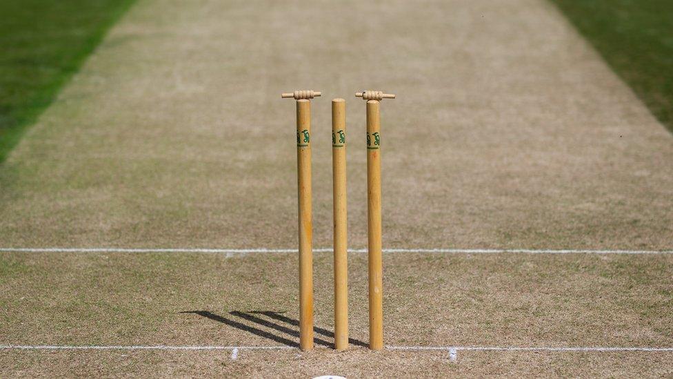 Cricket stumps at the end of a wicket.