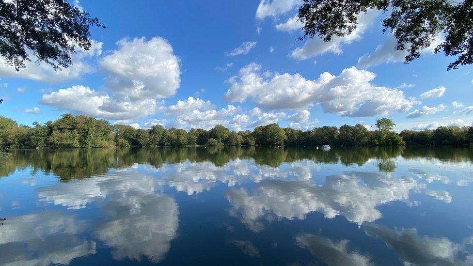 Clouds reflected in still water