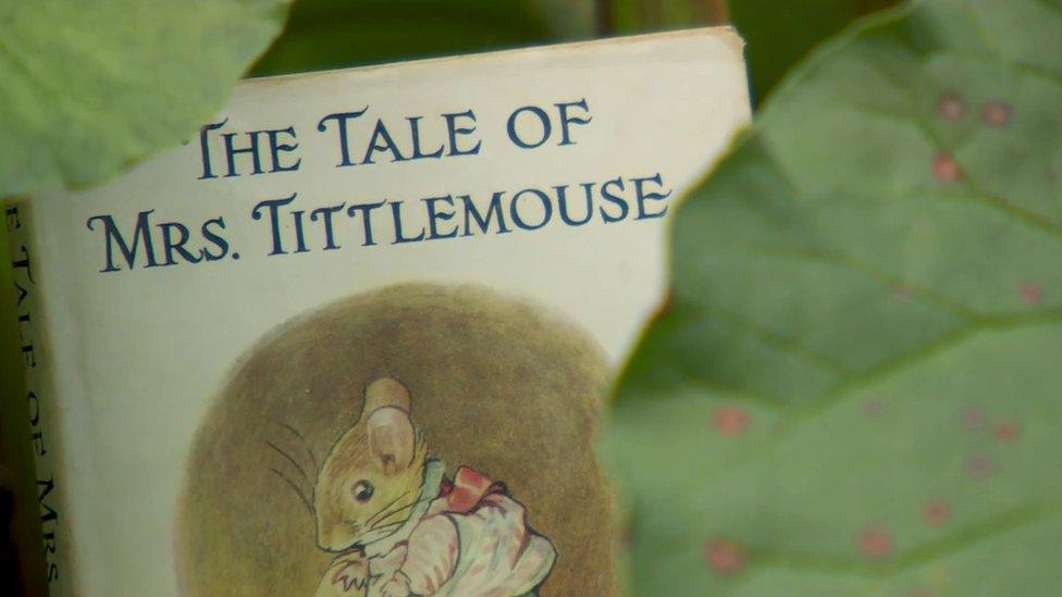 A Beatrix Potter book cover