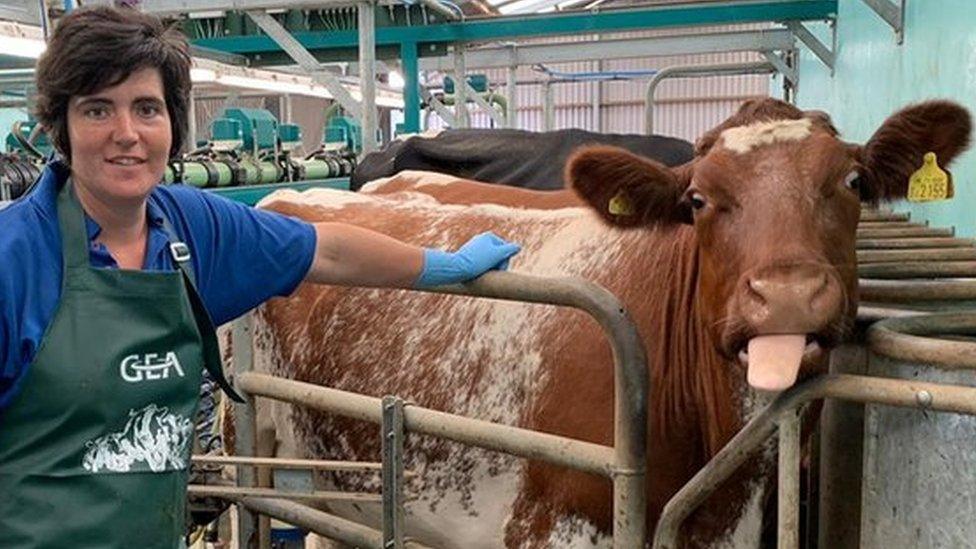 Dairy farmer Abi Reader