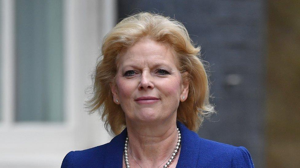 Anna Soubry