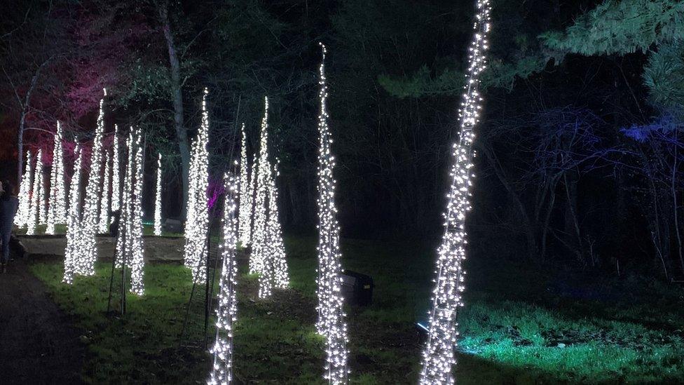 The Festive lights show at Fonmon Castle