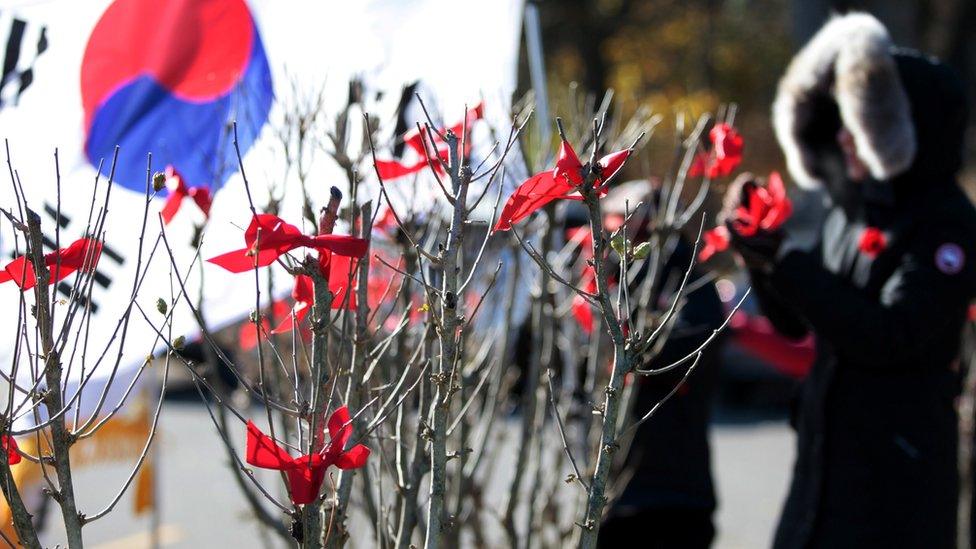 Participants tie red ribbons on Rose of Sharon trees in honour of 516 Canadian troops who lost their lives in the Korean War (1950-1953) ahead of Remembrance Day at the Rose of Sharon Garden in James Gardens in Toronto, Ontario, Canada