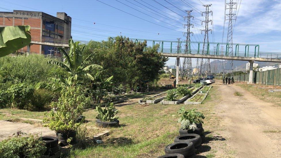 Community garden