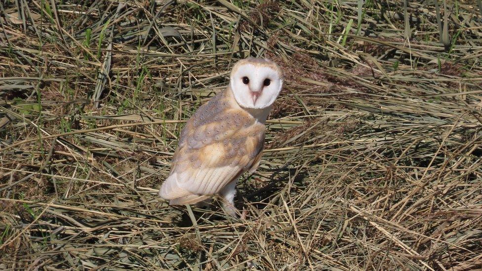 Crossness Nature Reserve