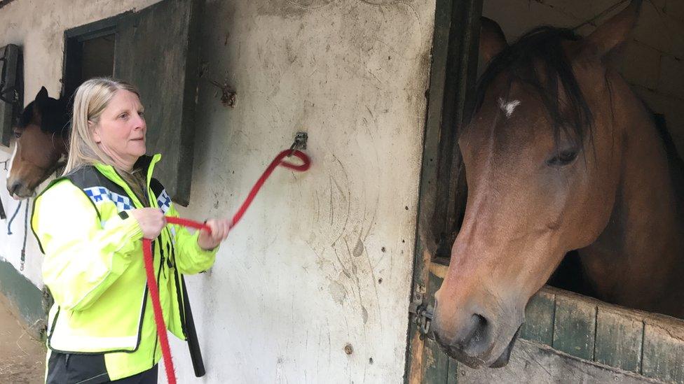 Jocelle Lovell at the stables