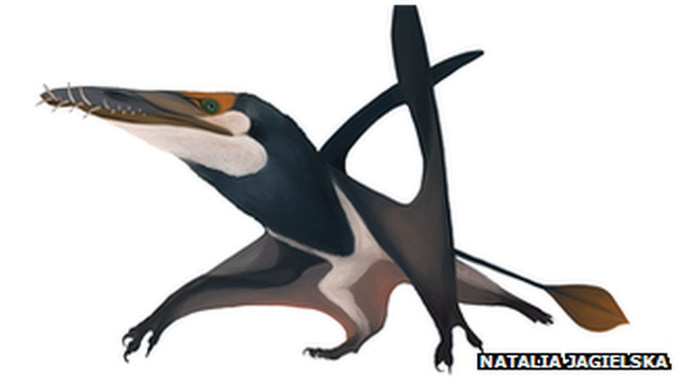 Pterosaur