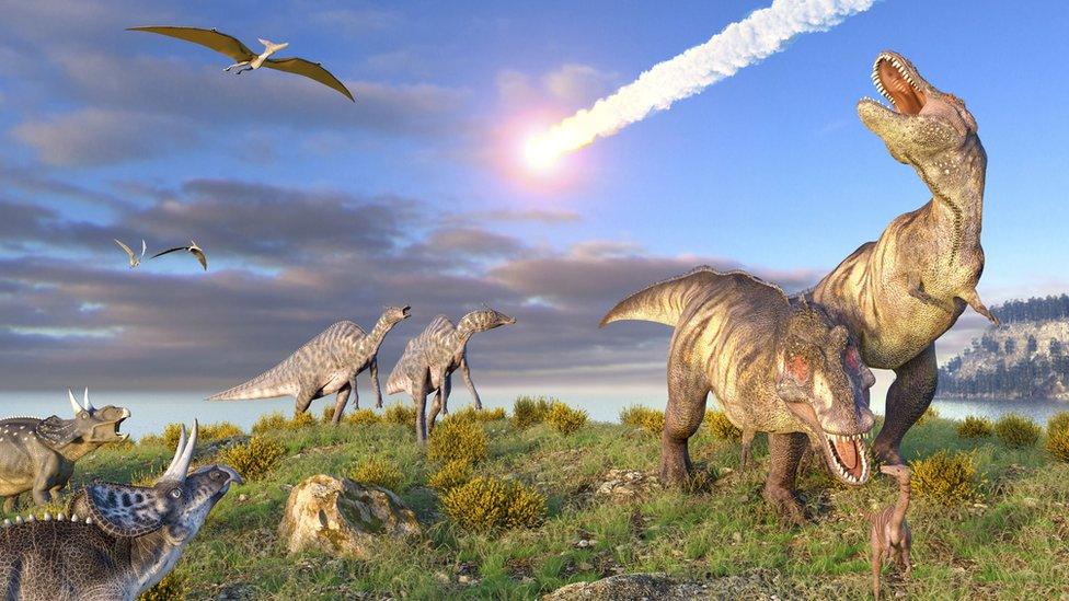 An artist impression of the asterioud hitting the dinosaurs