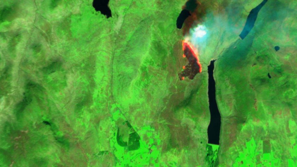 Satellite imagery has helped researchers understand the scale and damage caused by the fires