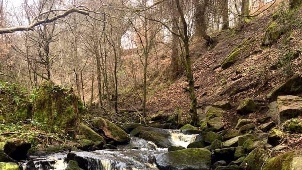 Wyming Brook Nature Reserve