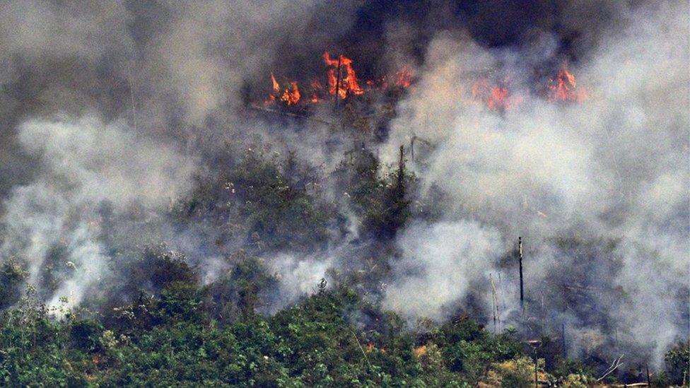 Aerial picture showing smoke from a two-kilometre-long stretch of fire billowing from the Amazon rainforest