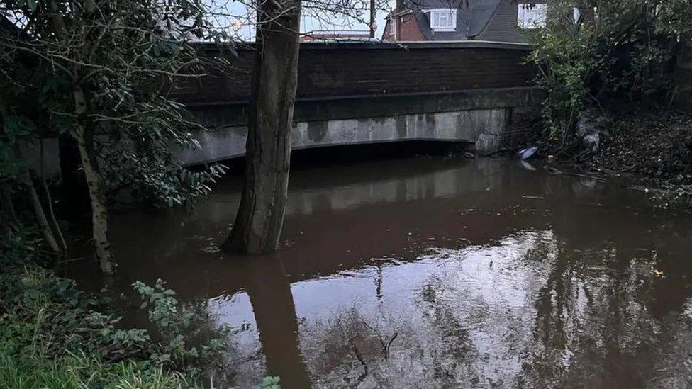 River Bourne at Chertsey