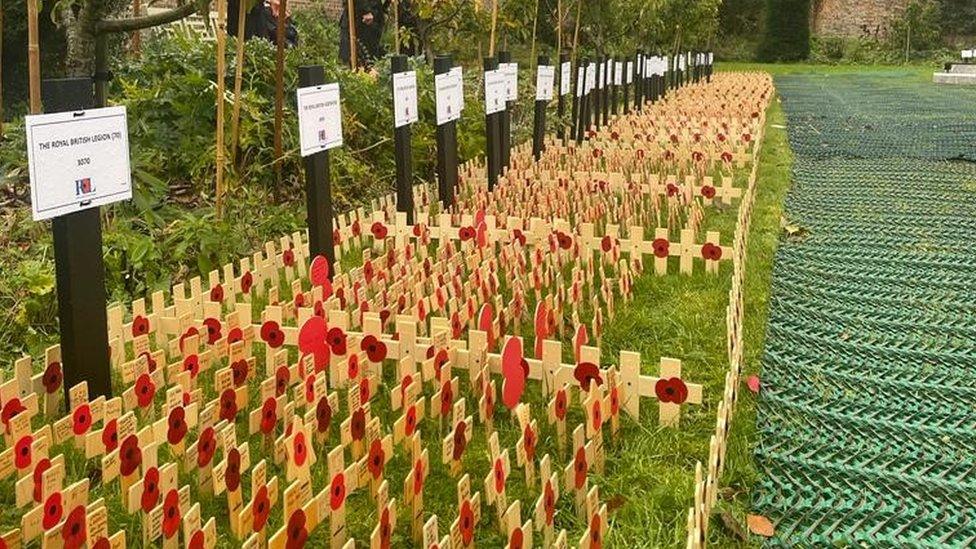 The new Field of Remembrance in Swindon full of poppies