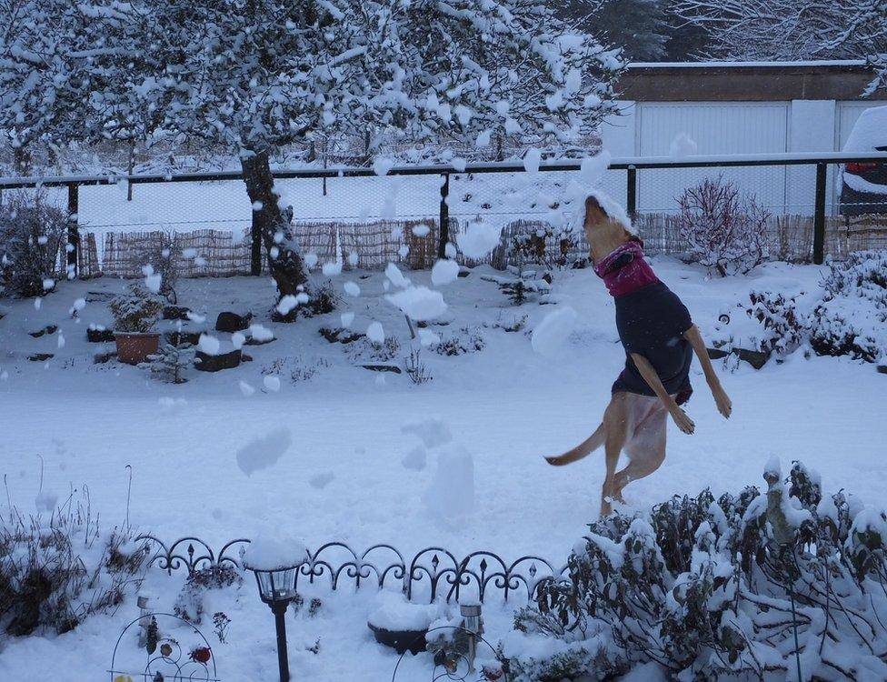 BBC weather watcher Karen's garden sent in this picture from Advie in Strathspey