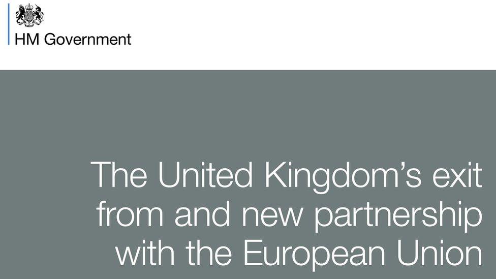 The UK government's Brexit white paper