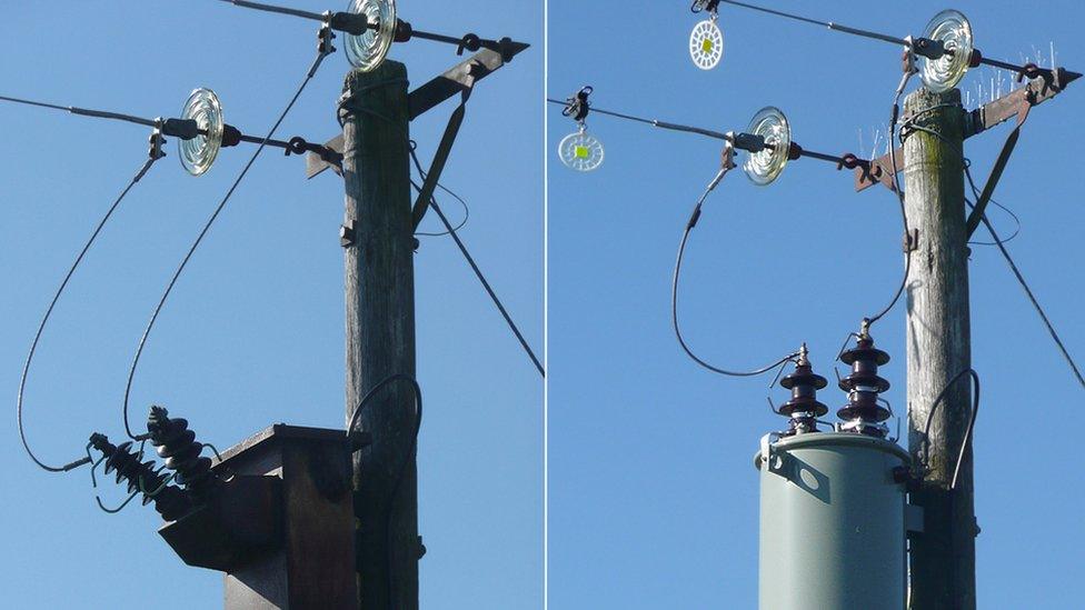 A modified electricity pole, showing the transformer before (l) and after work has been done to stop birds perching on it