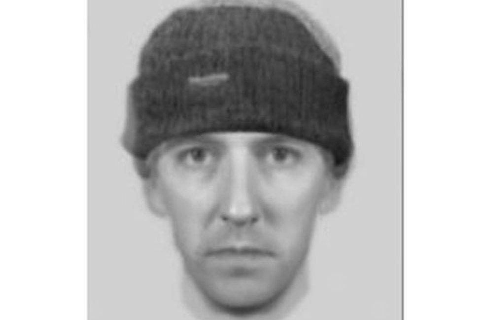 Police released an image of what the killer may look like