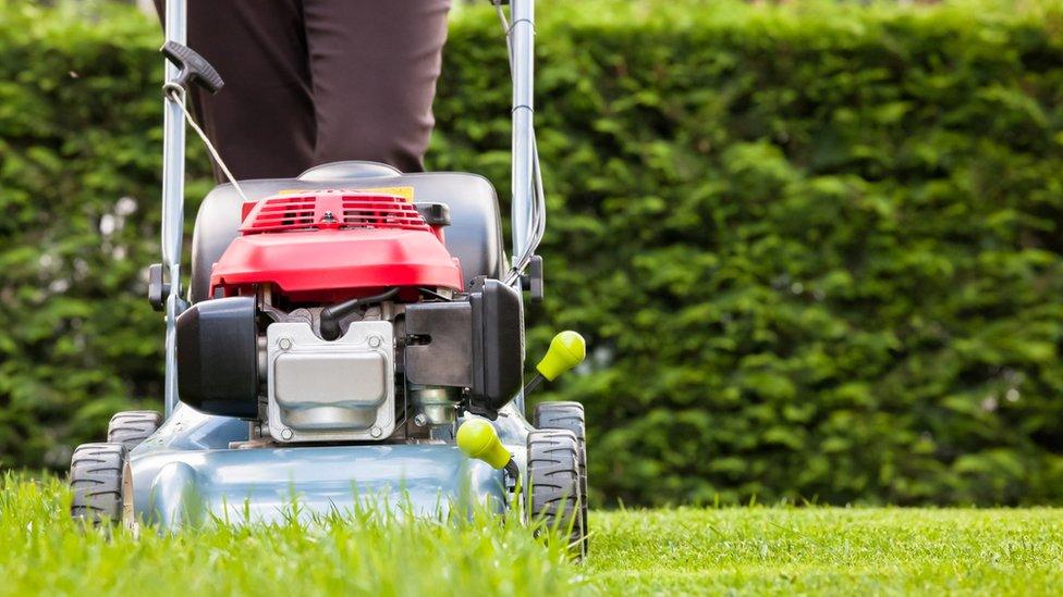 Person cutting lawn