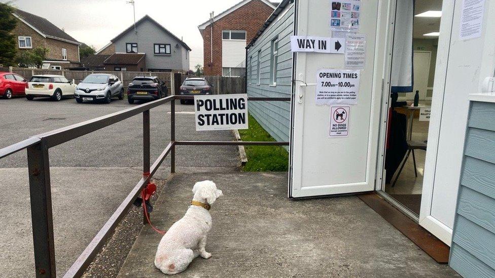 A dog outside a polling station in Benfleet, Essex