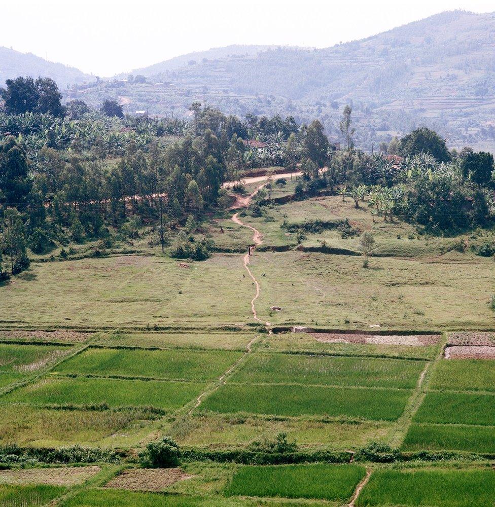 Landscape view of Rwanda