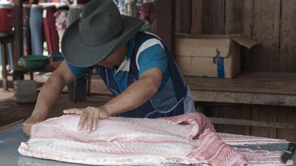 Fishmonger prepares Paiche