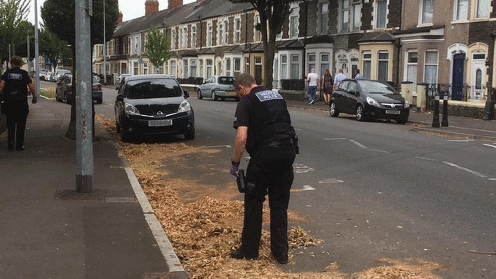 Police officer looks for evidence