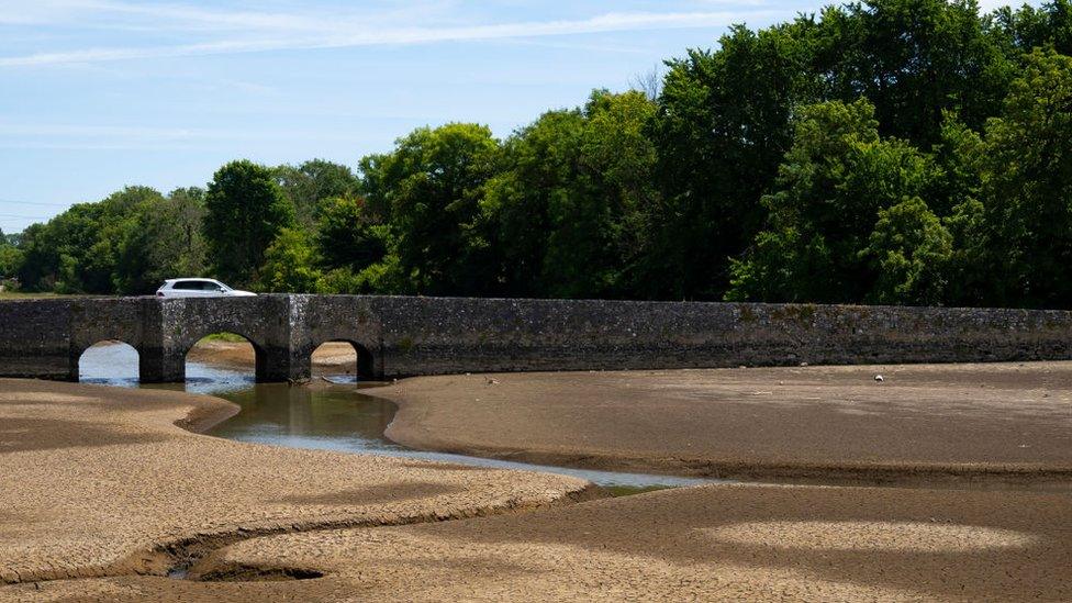 Afon Caeriw ar 11 Gorffennaf, 2022 yn Sir Benfro