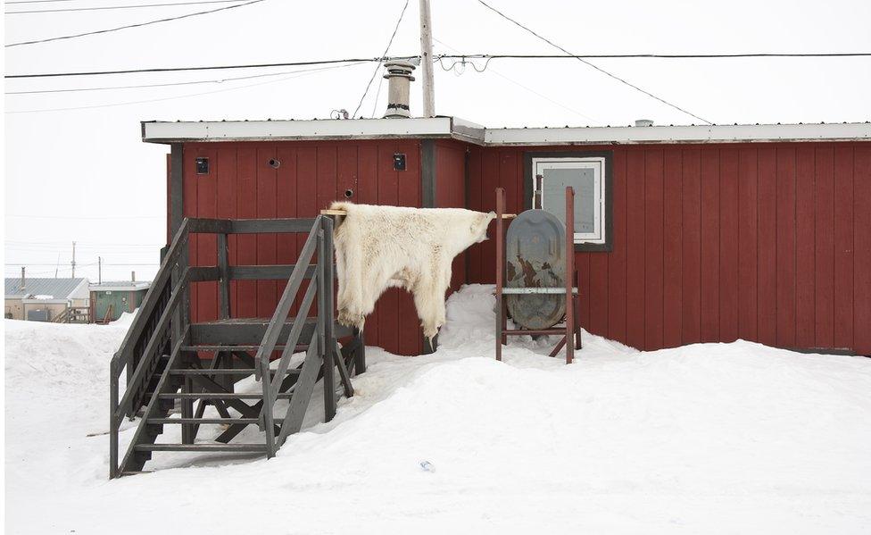 A polar bear skin hangs outside a house