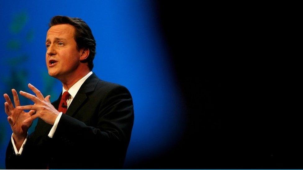 David Cameron, 2006