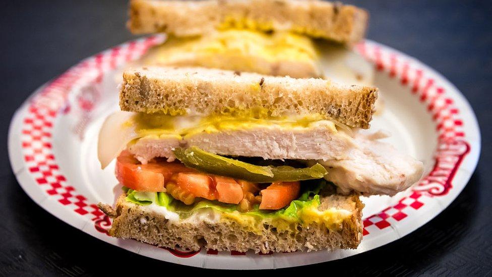 Close up of Sandwich on brown placed on a plate