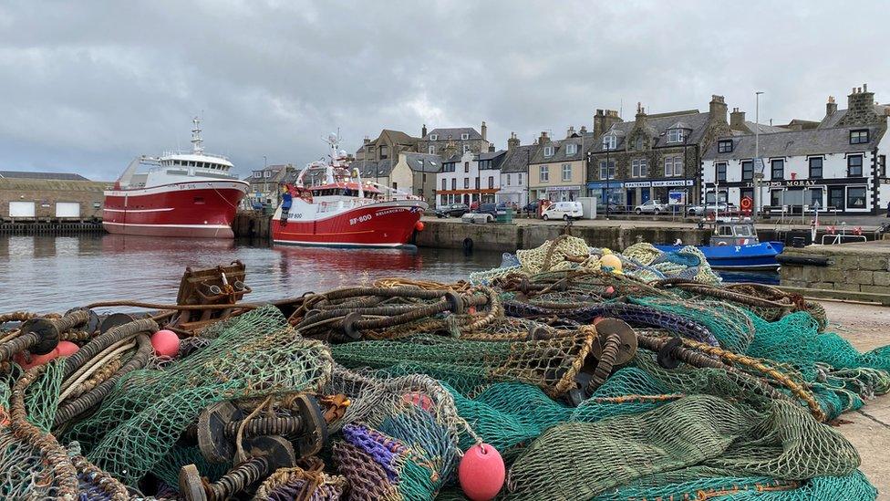 Fishing boats in Macduff