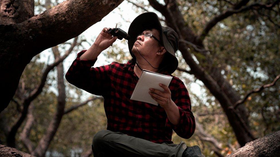 Bird scientist looking through binoculars