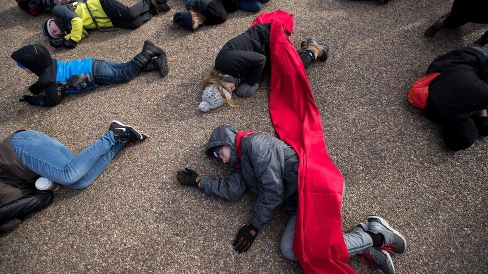 Protesters stage a "die-in" near the White House