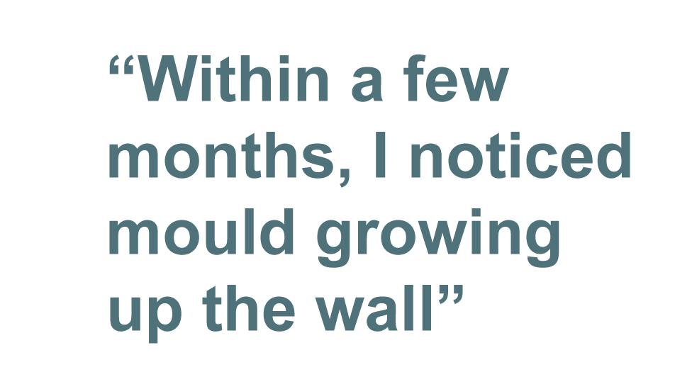 Quotebox: Within a few months I noticed mould growing up the wall