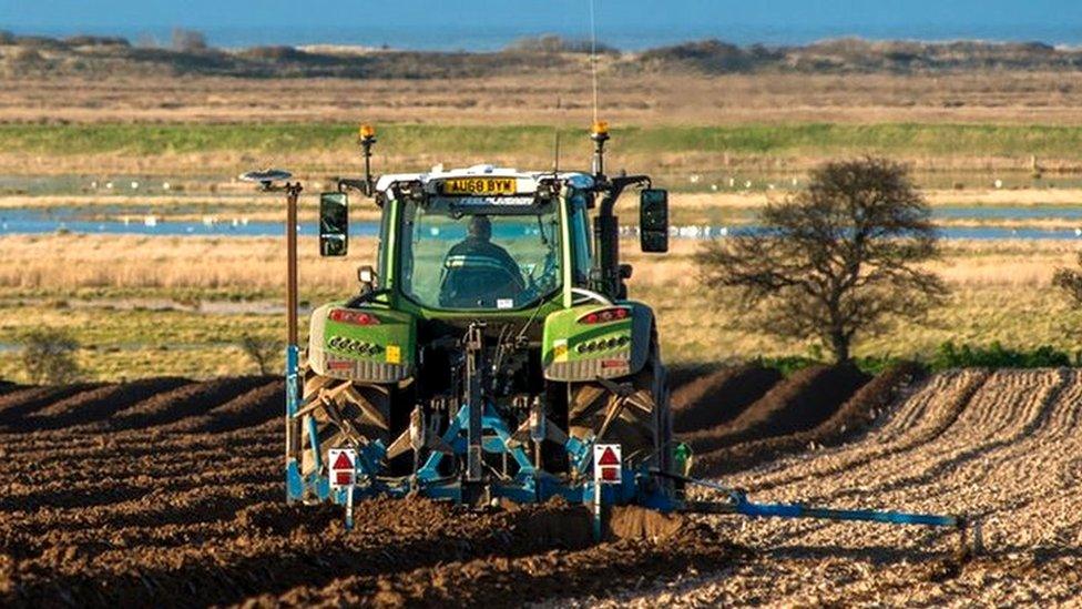 Tractors in a field