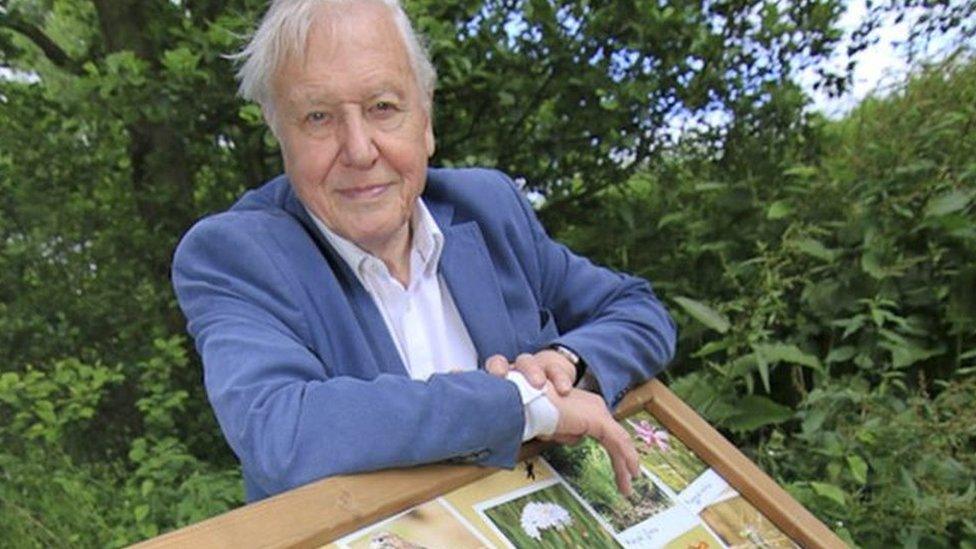 Sir David Attenborough