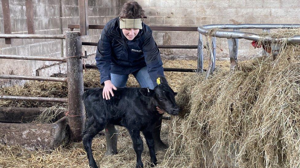 Jess Langton on the dairy farm