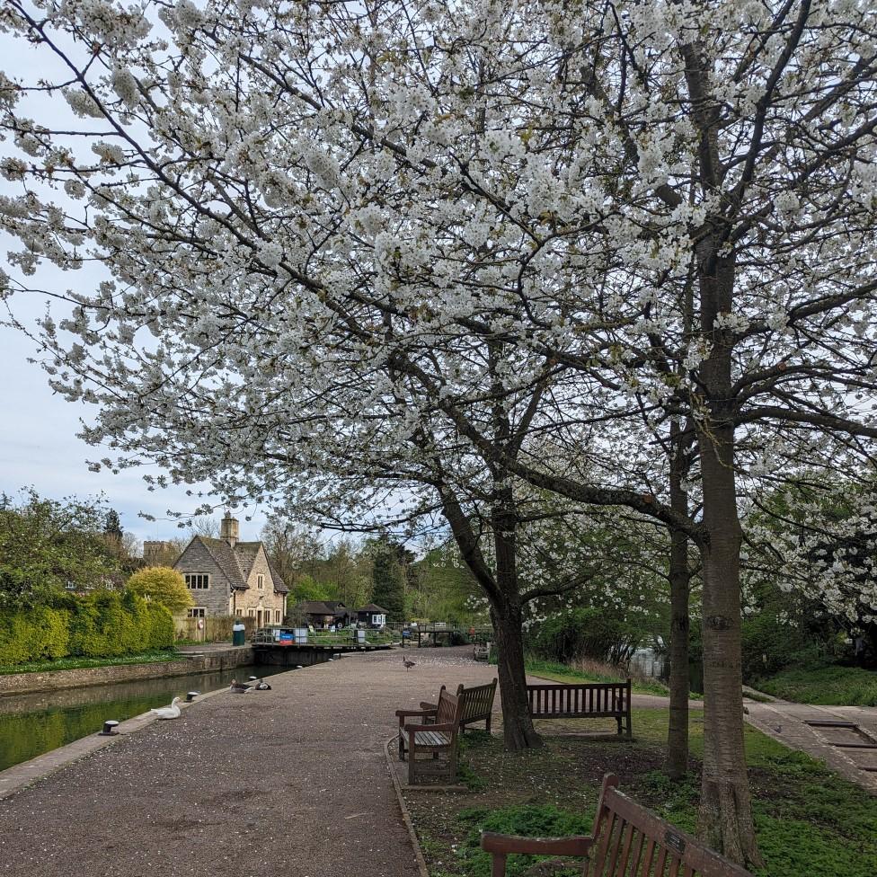 FRIDAY - Iffley Lock