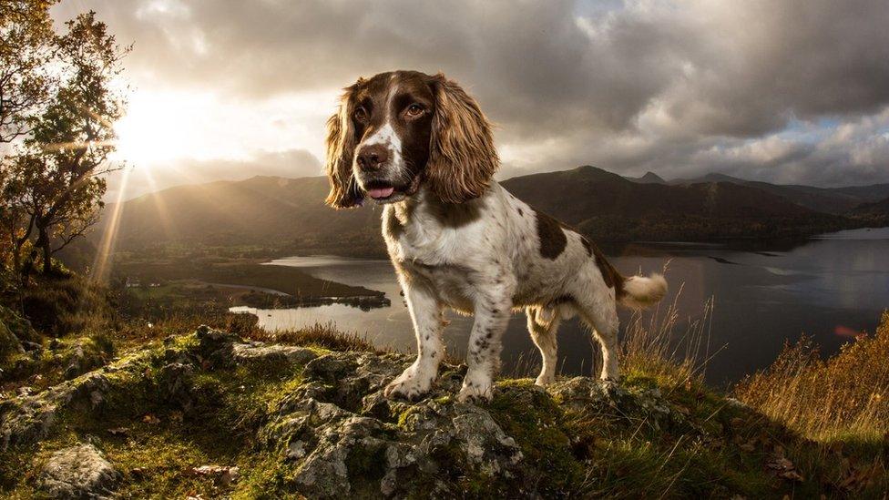 max on a hilltop