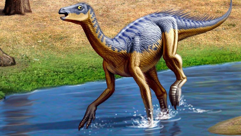 Silesaurus