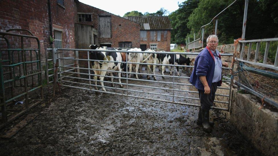 Farmer in Cheshire