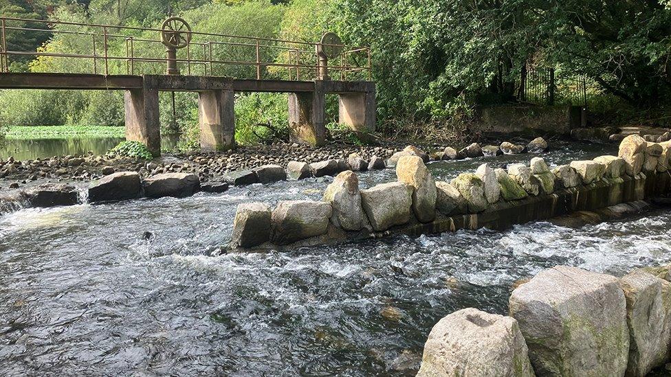 Fish Pass at Gathurst Weir