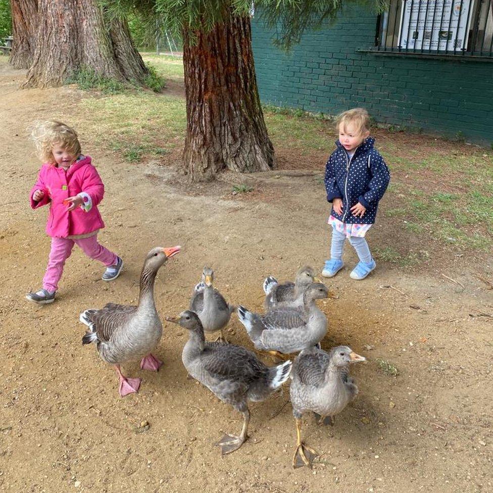 An outing to a local farm park.