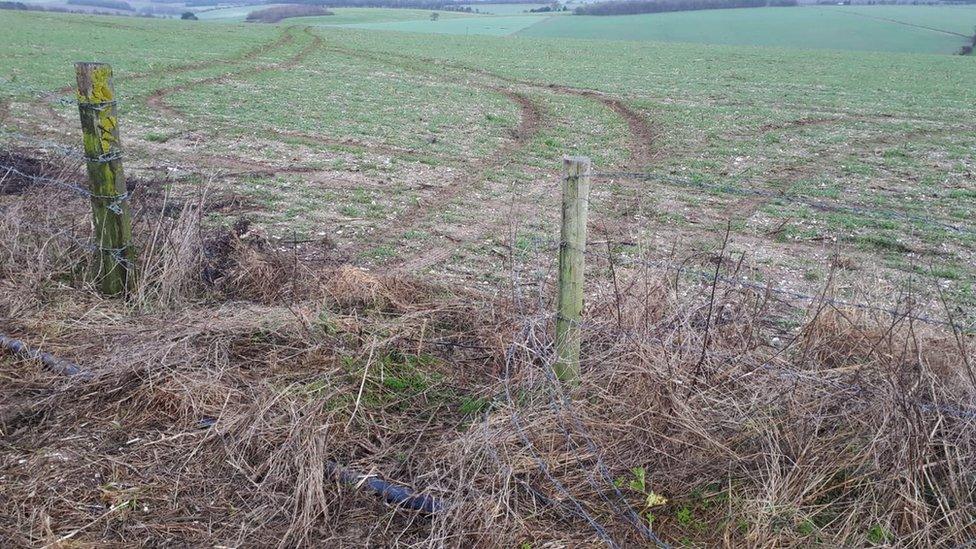 Salisbury hare hunting