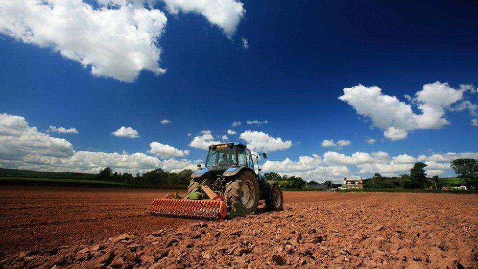 Tractor ploughs field in farm