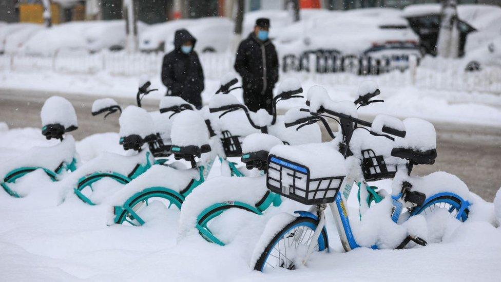 snow covered bikes