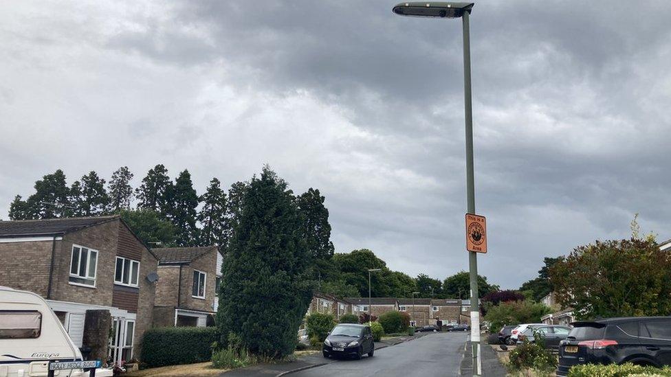 Telegraph pole in Surrey