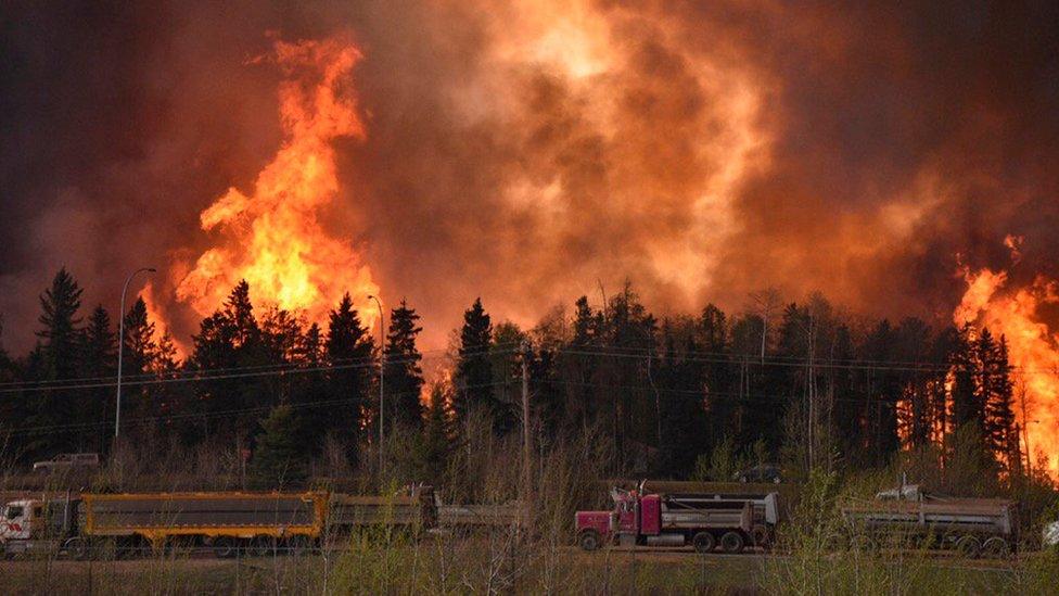 Trucks near the flames at Fort McMurray, Alberta