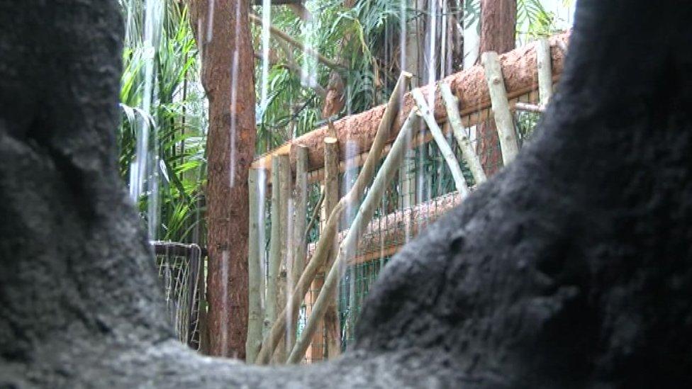 Interactive waterfall at Plantasia