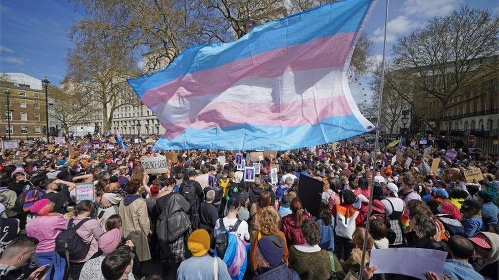 The protest outside Downing Street